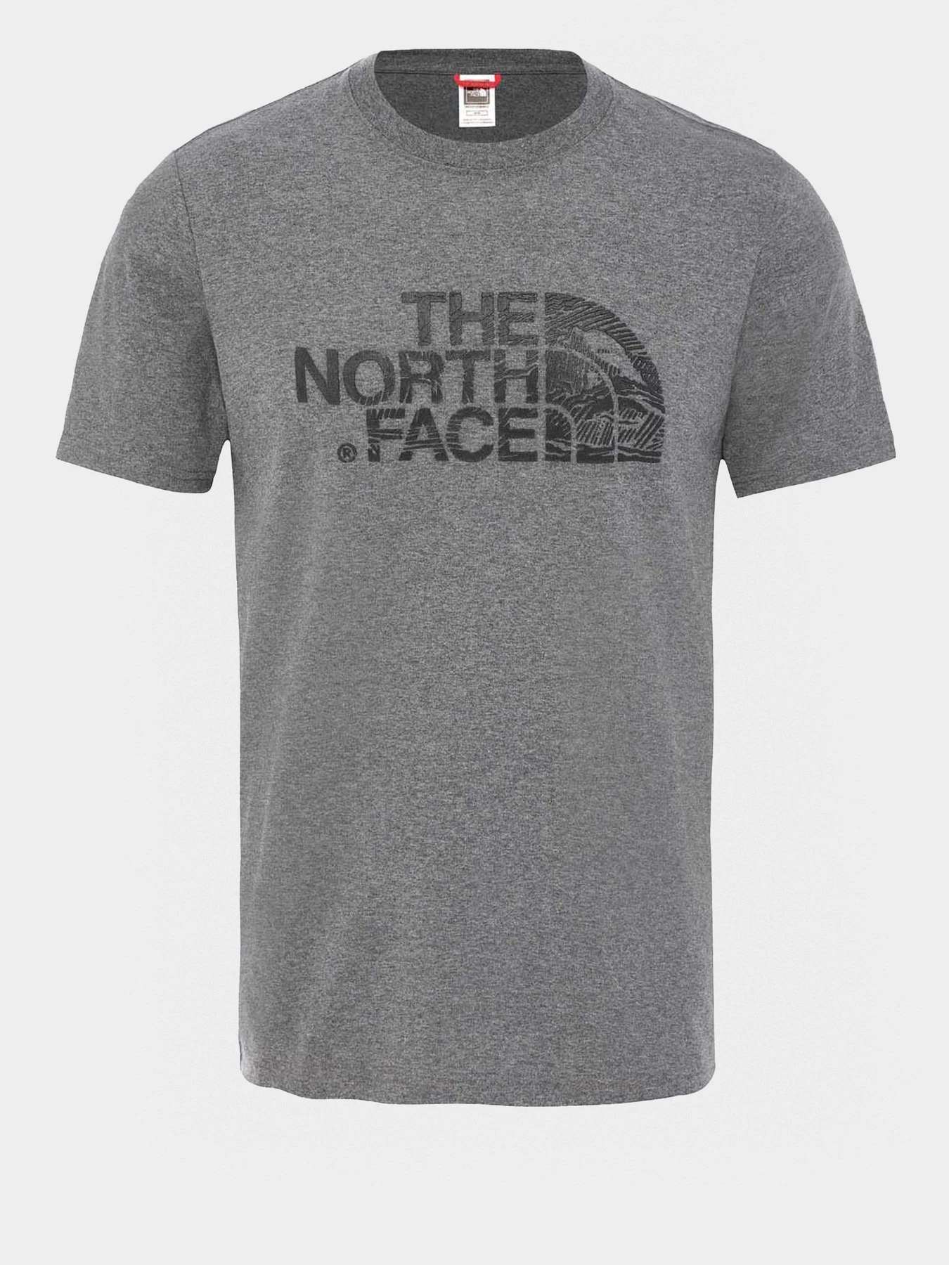 Футболки и поло The North Face Woodcut Dome Tee модель NF00A3G1JBV1 Фото