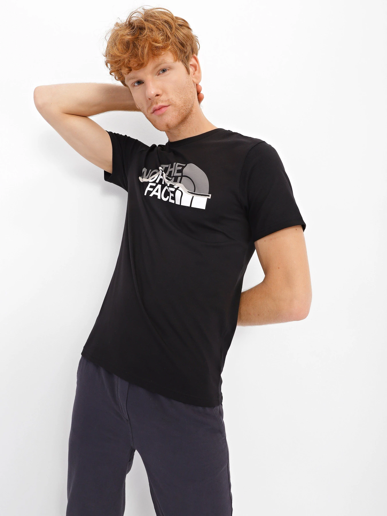 Футболки и поло The North Face S/S Mountain Line Tee модель NF00A3G2JK31 Фото