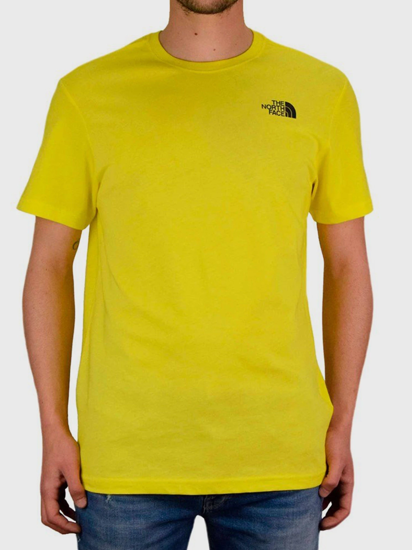Футболки и поло The North Face Redbox модель NF0A2TX2DW91 Футболки и поло The North Face Redbox модель NF0A2TX2DW91 Фото