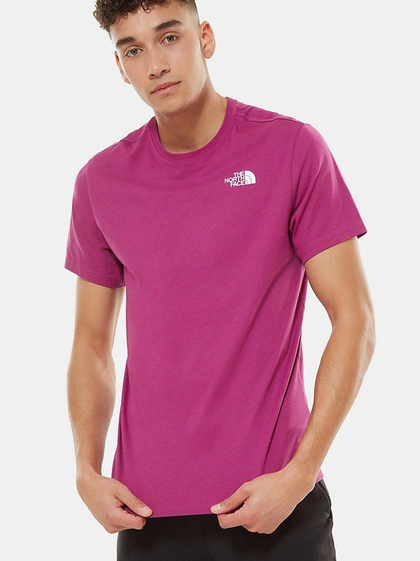 Футболки и поло The North Face Redbox модель NF0A2TX2ZDN1 Футболки и поло The North Face Redbox модель NF0A2TX2ZDN1 Фото