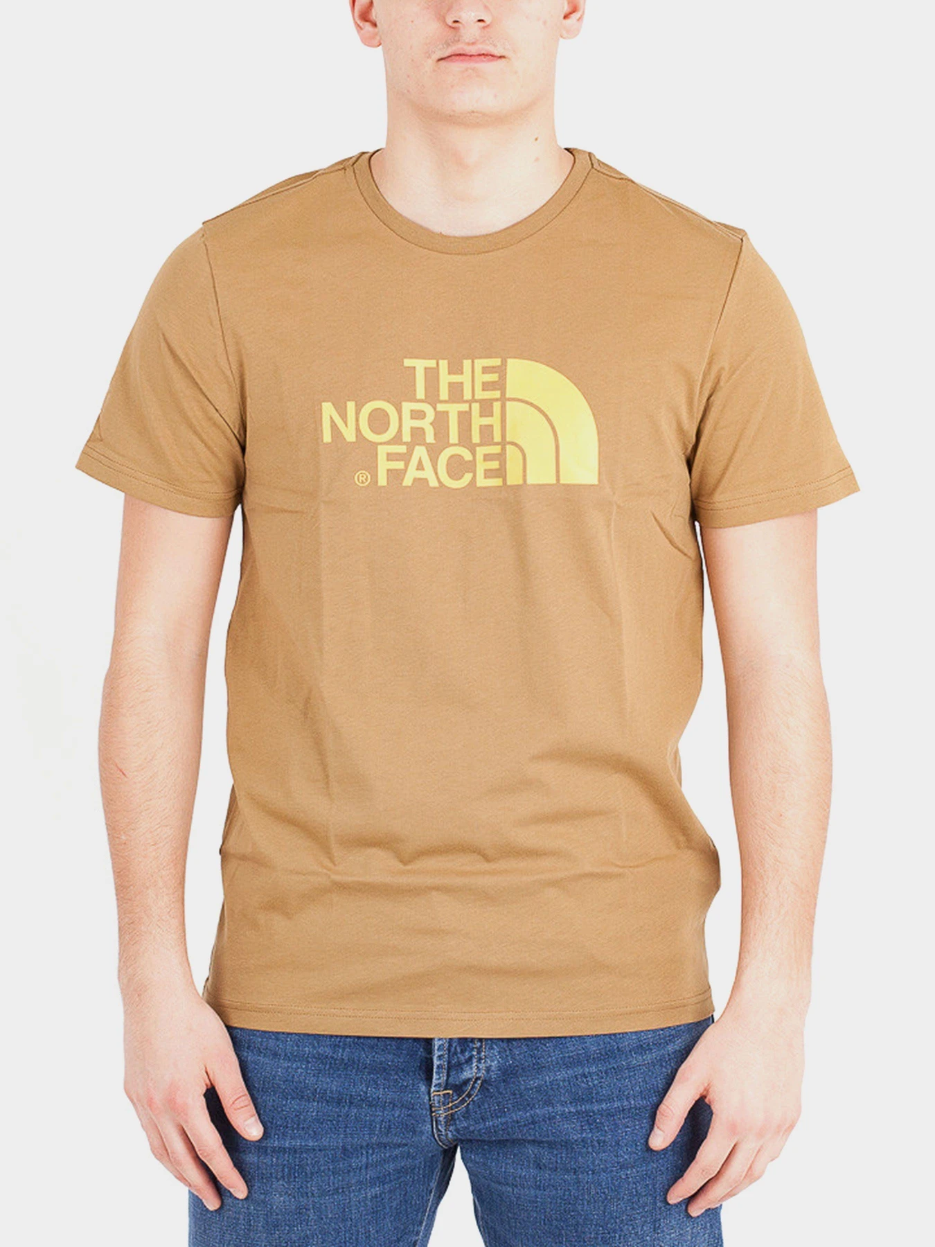 Футболки и поло The North Face модель NF0A2TX3D9V1 Футболки и поло The North Face модель NF0A2TX3D9V1 Фото