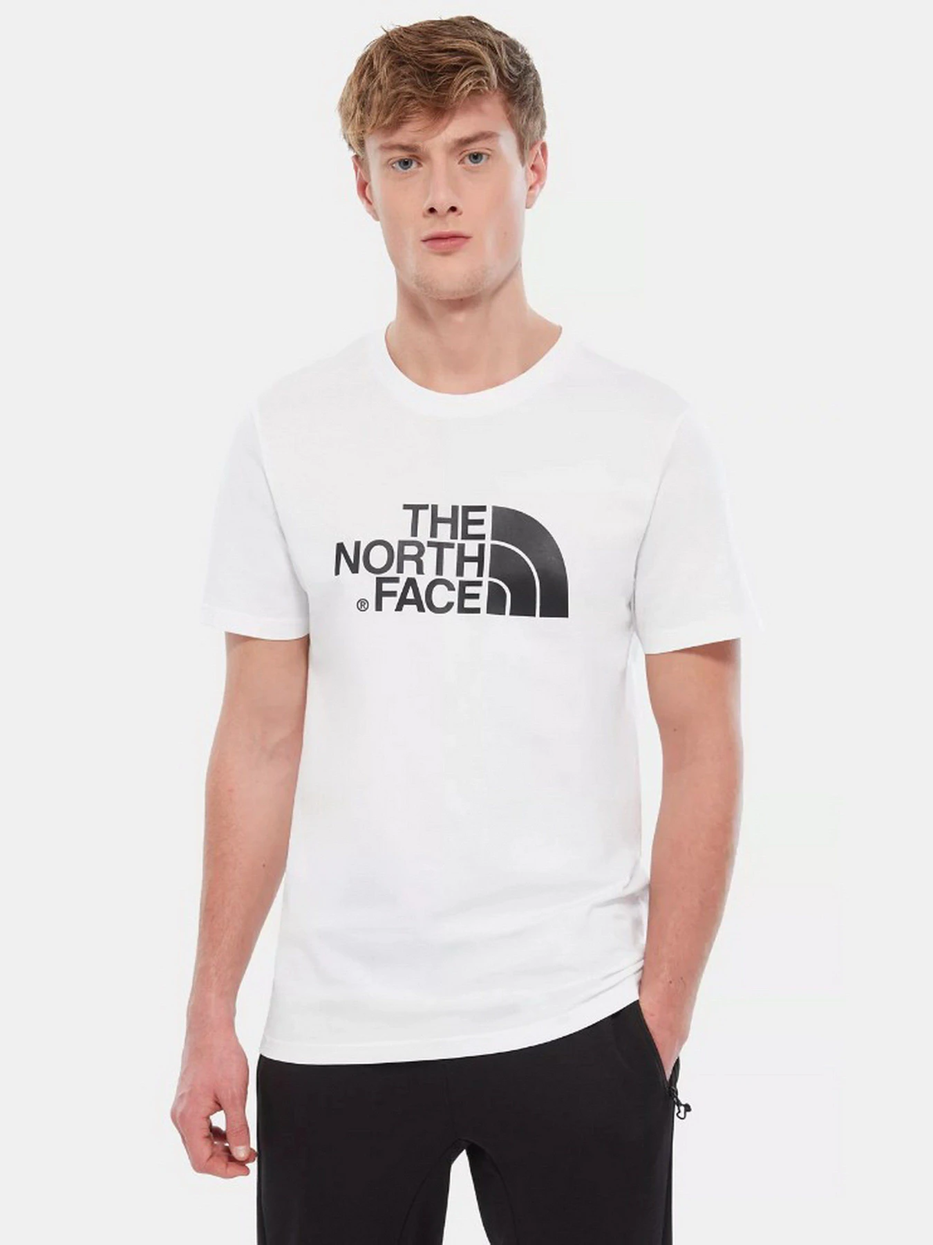 Футболки і поло The North Face Easy модель NF0A2TX3FN41 Футболки і поло The North Face Easy модель NF0A2TX3FN41 Фото