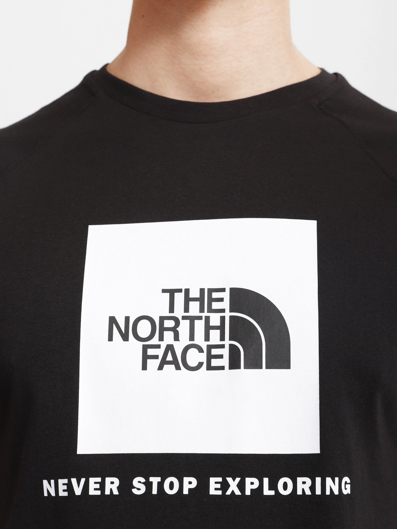 Футболки и поло The North Face Raglan Redbox модель NF0A3BQOKY41 Футболки и поло The North Face Raglan Redbox модель NF0A3BQOKY41 Фото