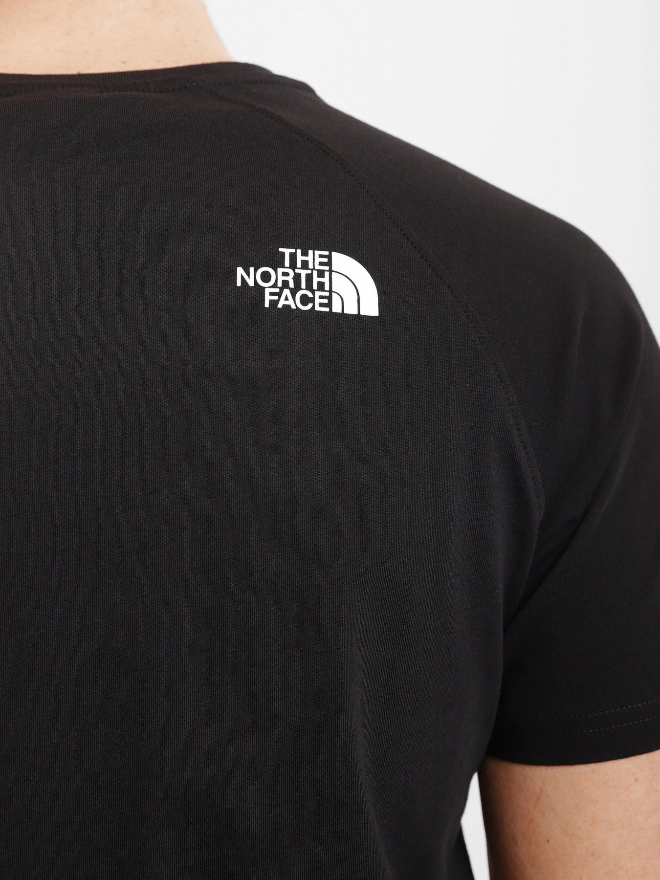 Футболки и поло The North Face Raglan Redbox модель NF0A3BQOKY41 Футболки и поло The North Face Raglan Redbox модель NF0A3BQOKY41 Фото