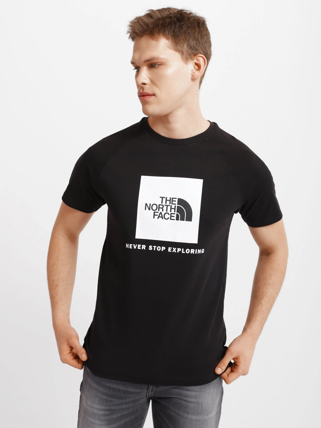 Футболки и поло The North Face Raglan Redbox модель NF0A3BQOKY41 Футболки и поло The North Face Raglan Redbox модель NF0A3BQOKY41 Фото