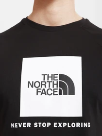 Футболки и поло The North Face Raglan Redbox модель NF0A3BQOKY41 Фото