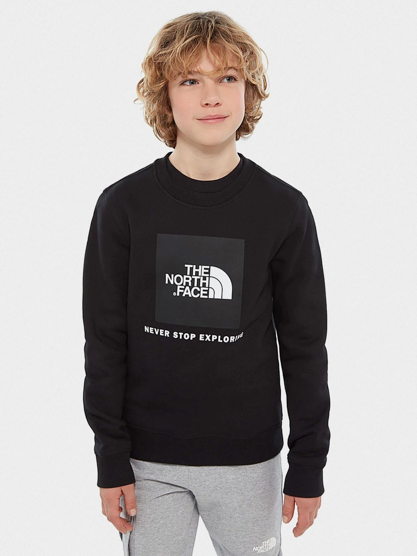 Худі та світшоти The North Face Box Drew Peak модель NF0A37FYKX71 Фото