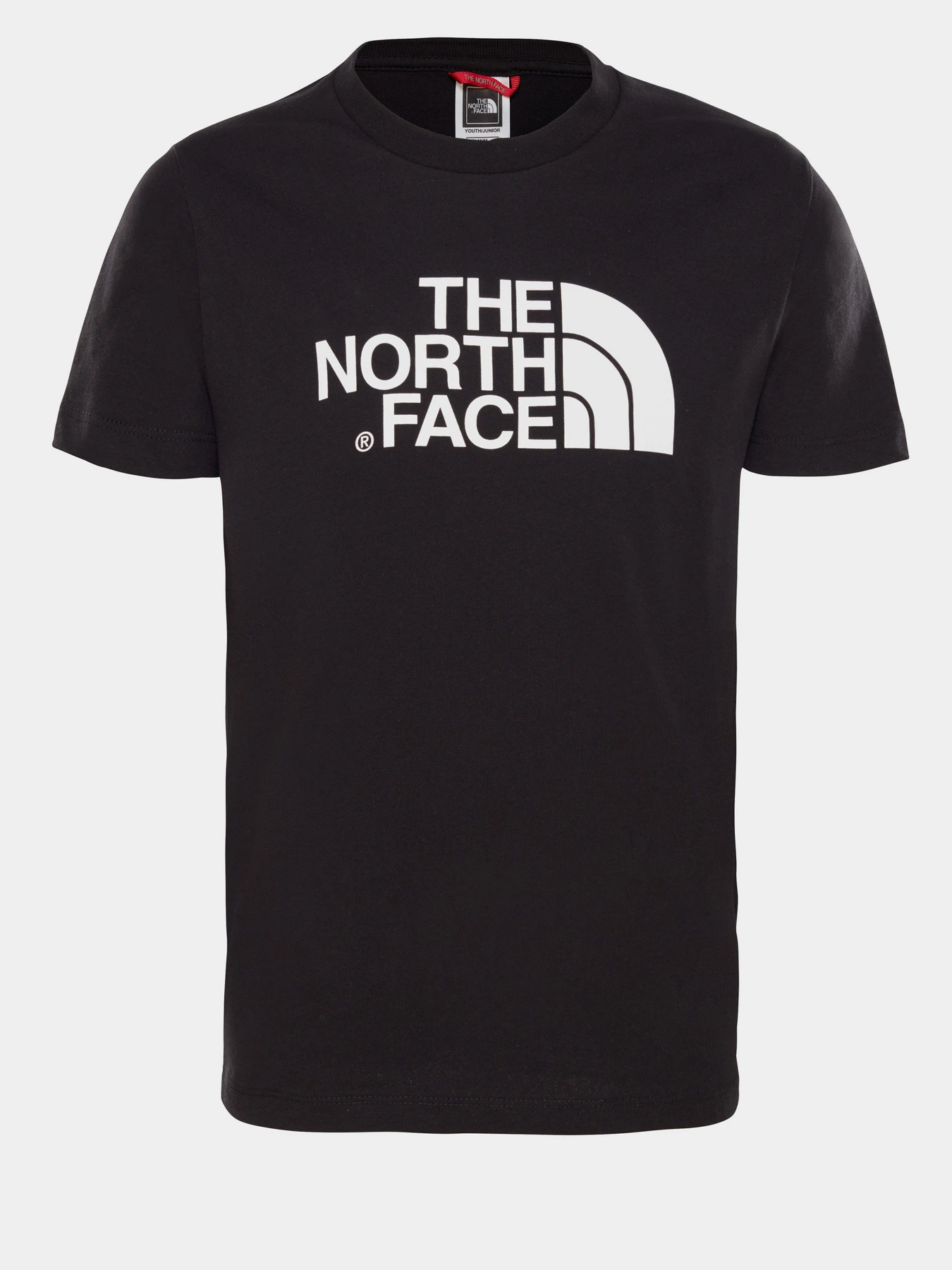 Футболки і поло The North Face Easy модель NF00A3P7KY41 Фото