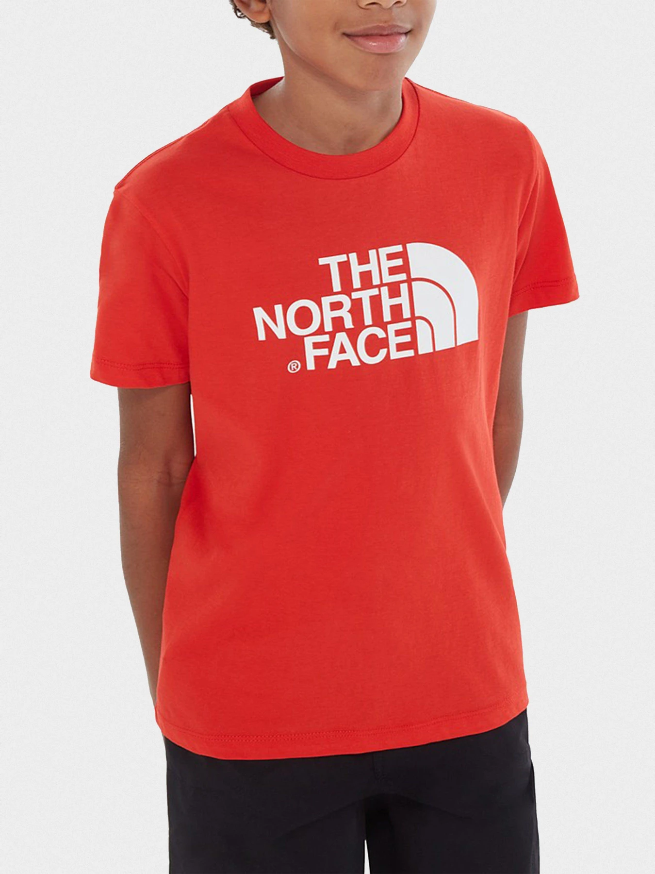 Футболки и поло The North Face Easy модель NF00A3P7M6J1 Футболки и поло The North Face Easy модель NF00A3P7M6J1 Фото