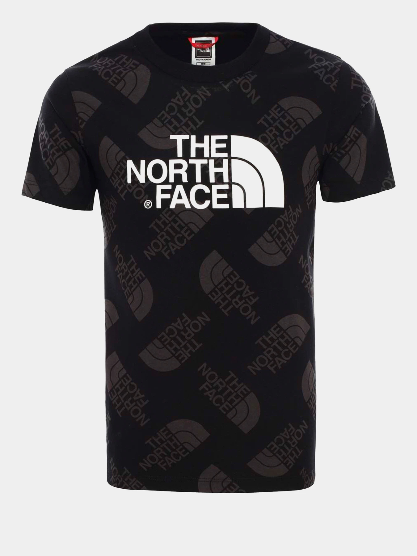 Футболки и поло The North Face Easy модель NF00A3P7M831 Футболки и поло The North Face Easy модель NF00A3P7M831 Фото