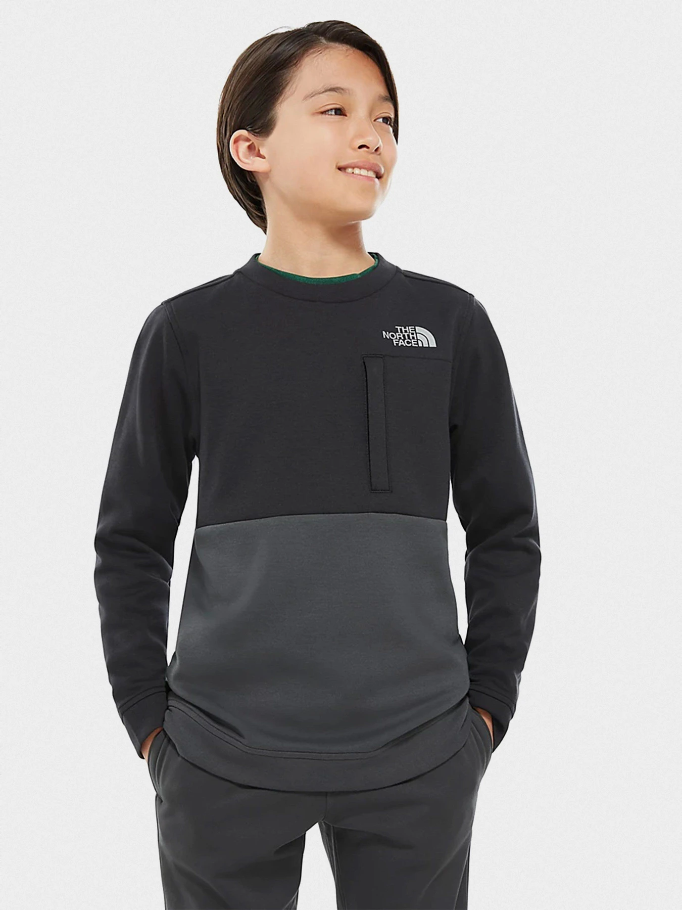 Худі та світшоти The North Face Slacker модель NF0A3YF5JK31 Фото