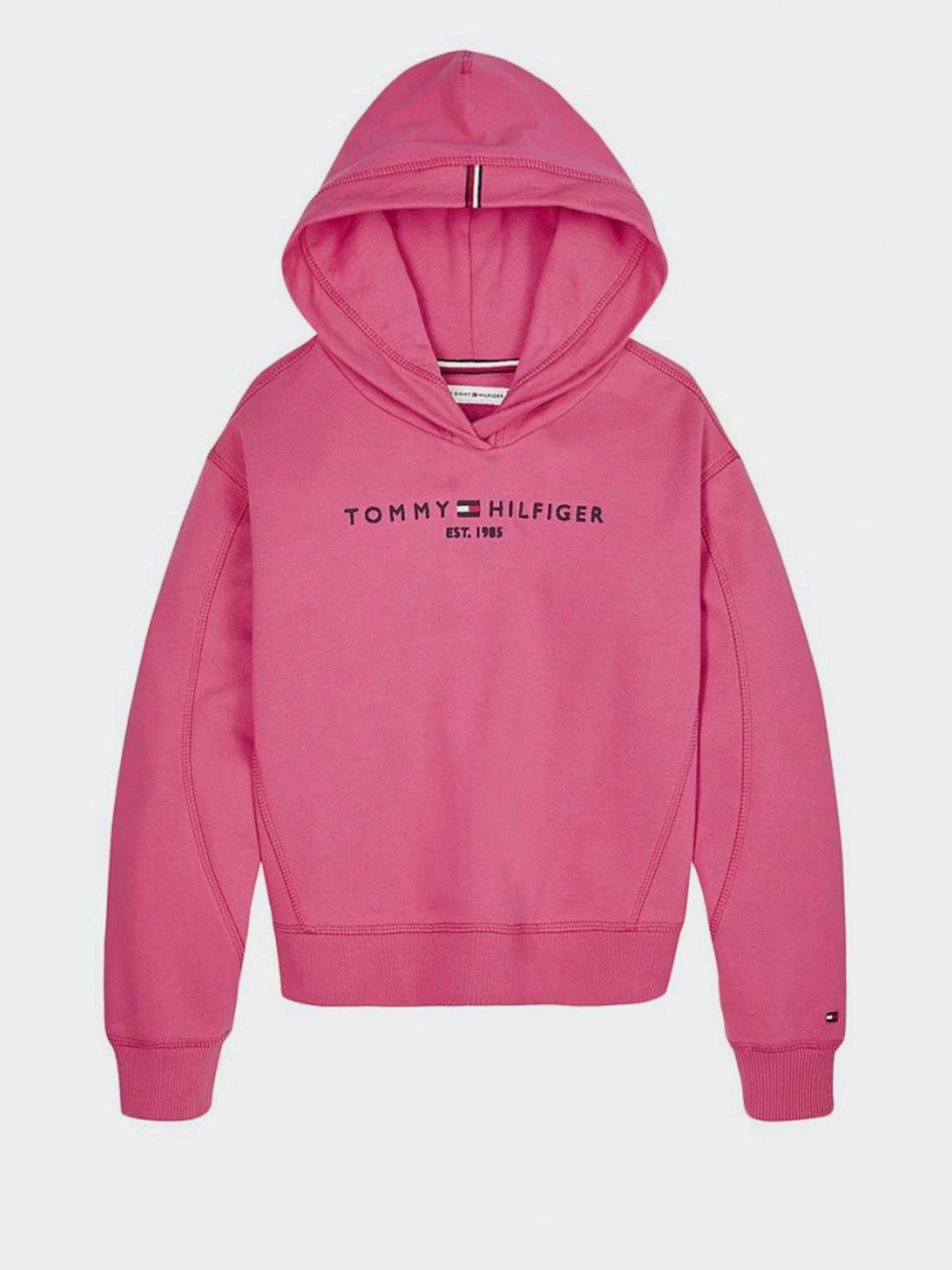 Худи и свитшоты Tommy Hilfiger модель KG0KG05042-XIF Фото