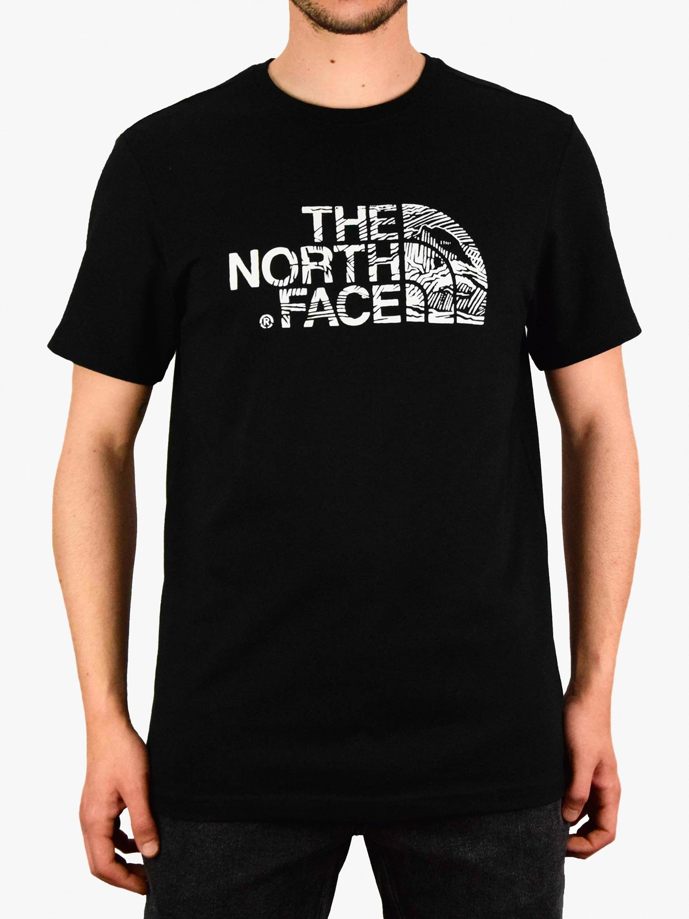 Футболки і поло The North Face Woodcut Dome модель NF00A3G1JK31 Фото