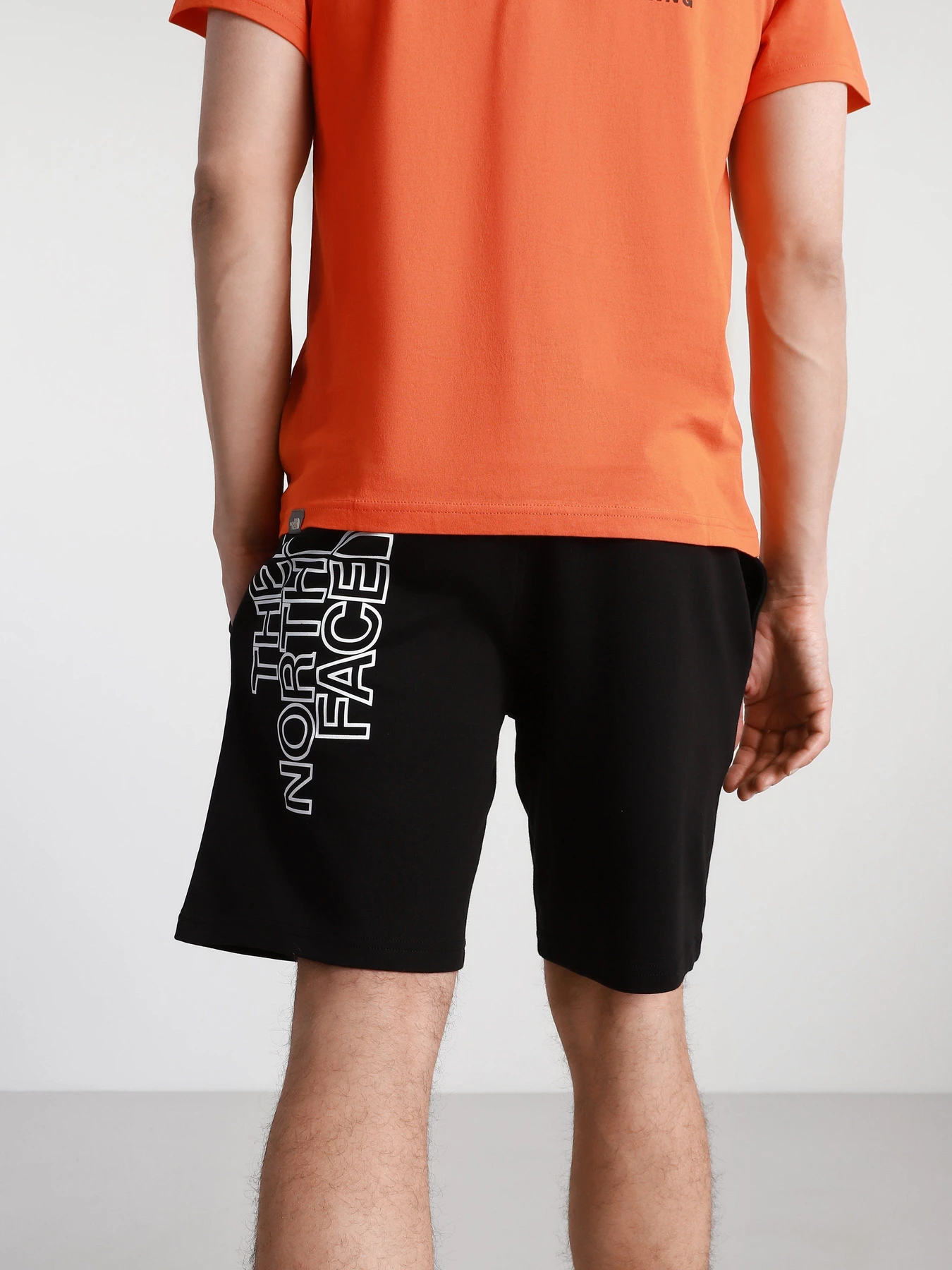 Шорты The North Face Graphic модель NF0A3S4FJK31 Шорты The North Face Graphic модель NF0A3S4FJK31 Фото