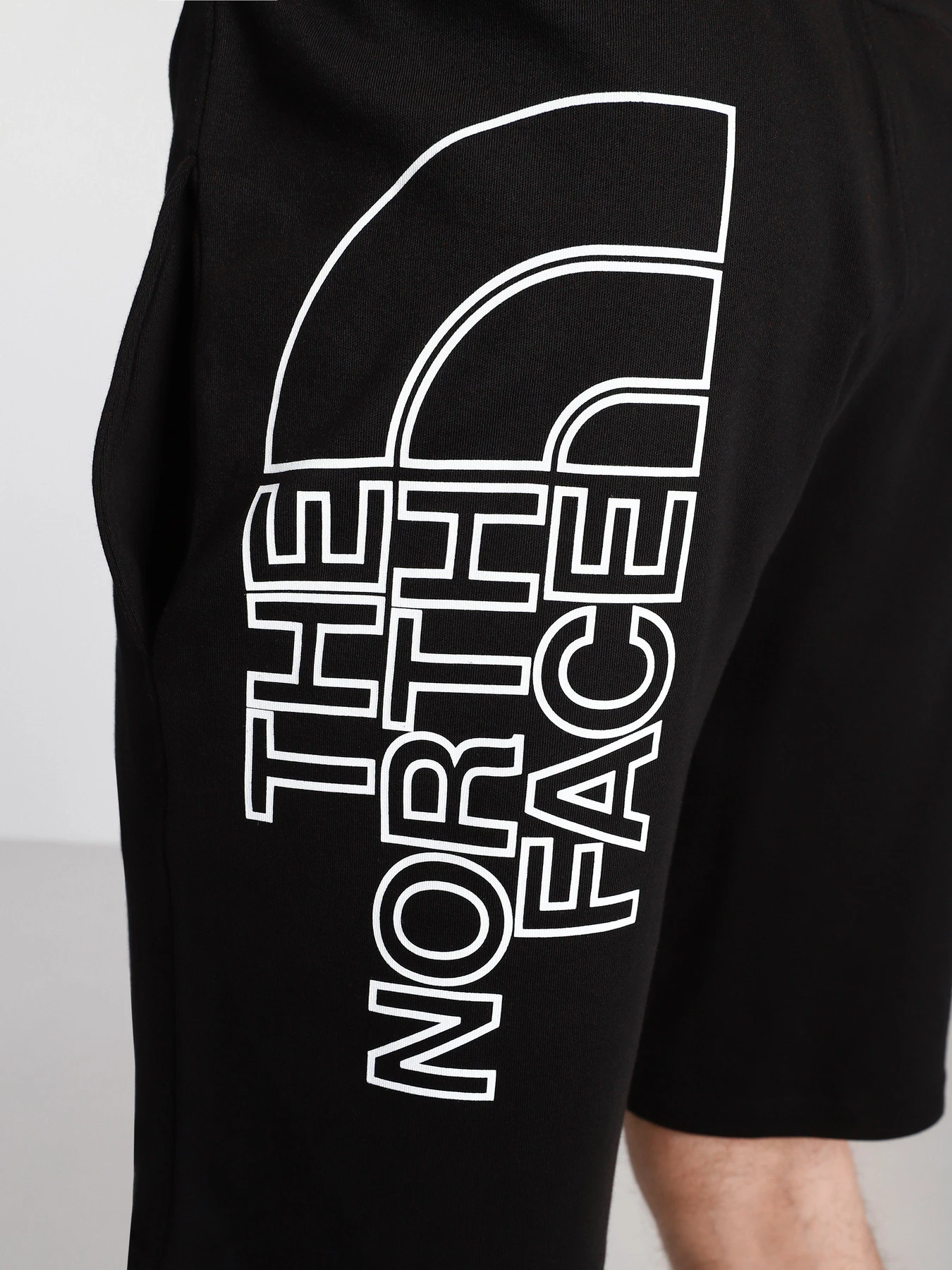 Шорты The North Face Graphic модель NF0A3S4FJK31 Шорты The North Face Graphic модель NF0A3S4FJK31 Фото