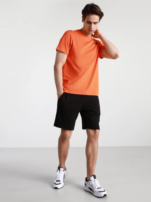 Шорты The North Face Graphic модель NF0A3S4FJK31 Фото