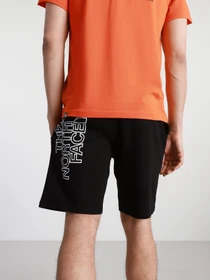 Шорты The North Face Graphic модель NF0A3S4FJK31 Фото