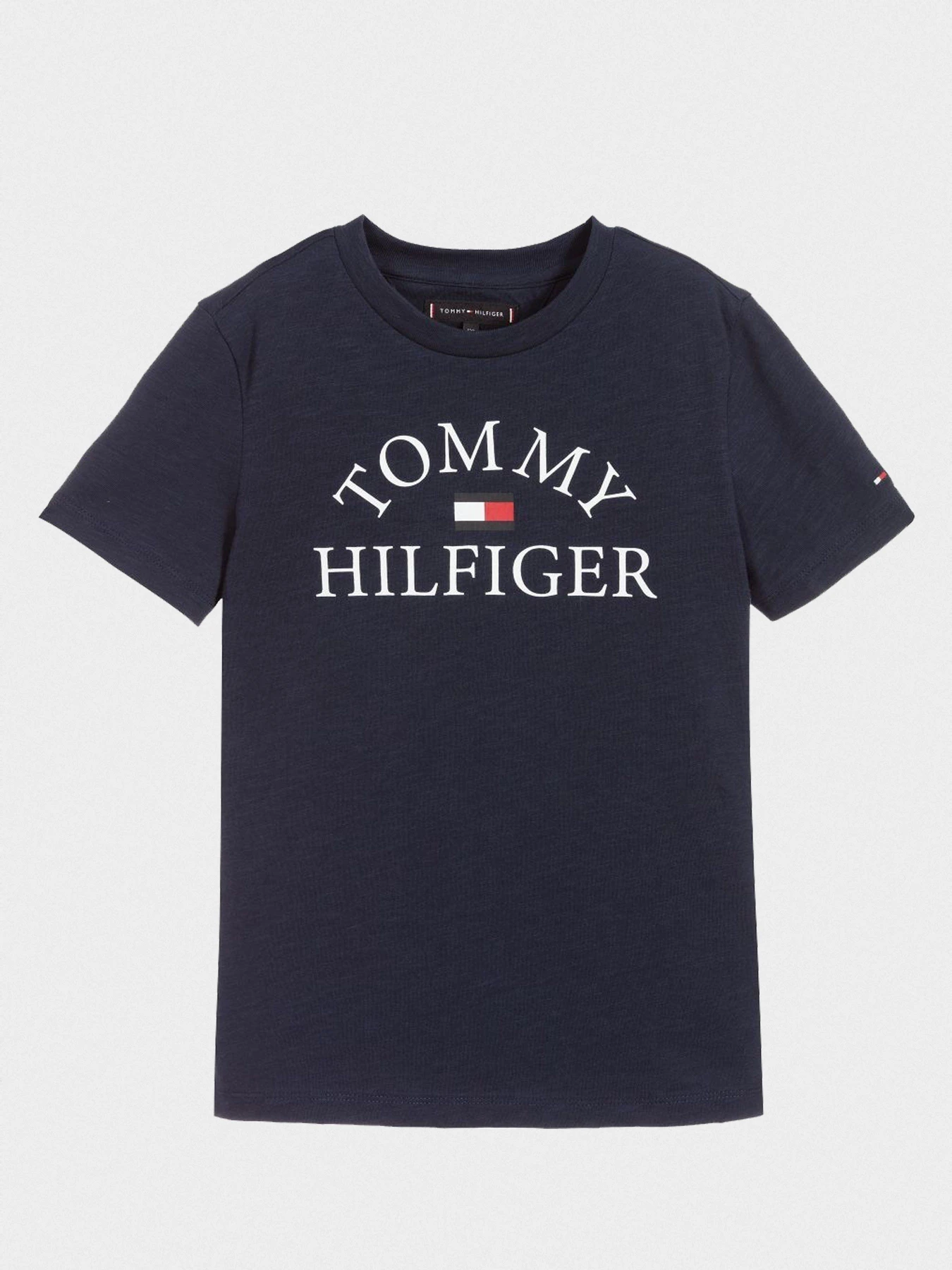Футболки и поло Tommy Hilfiger модель KB0KB05619-C87 Фото