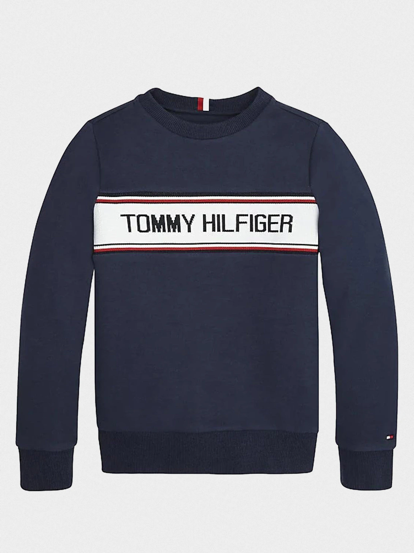 Худи и свитшоты Tommy Hilfiger модель KB0KB05675-C87 Фото