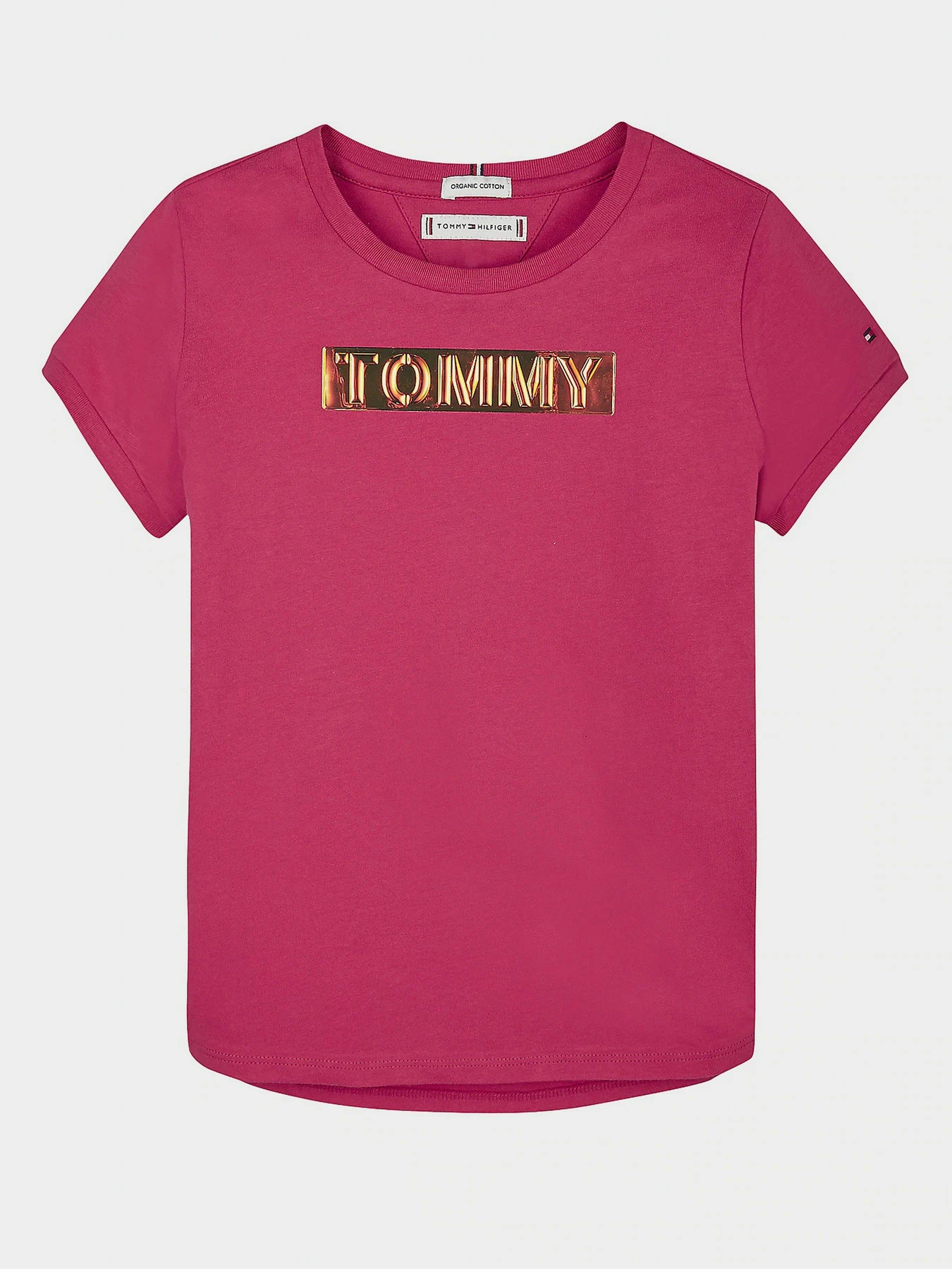 Футболки и поло Tommy Hilfiger модель KG0KG05028-XIF Фото