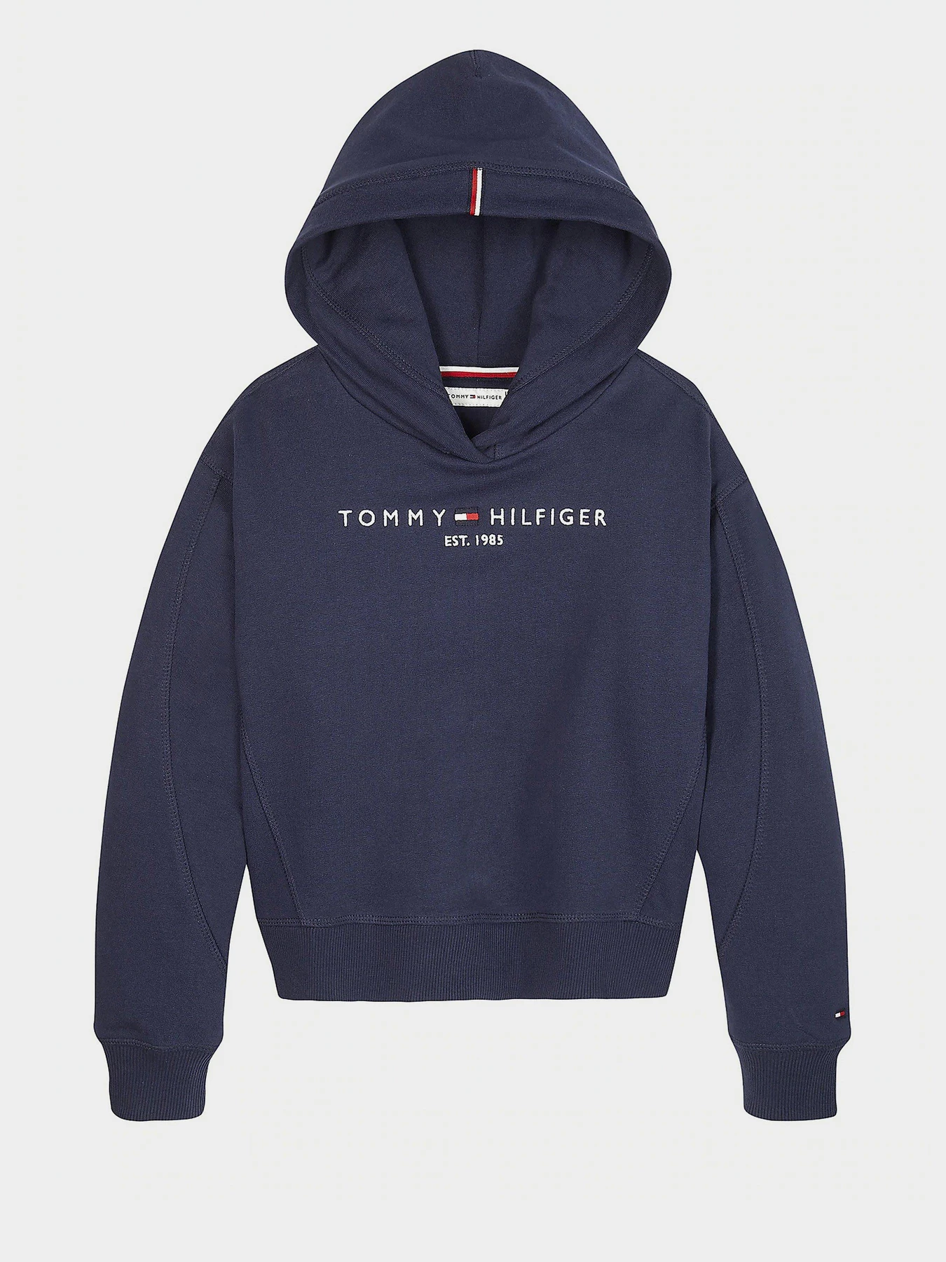 Худи и свитшоты Tommy Hilfiger модель KG0KG05042-C87 Фото