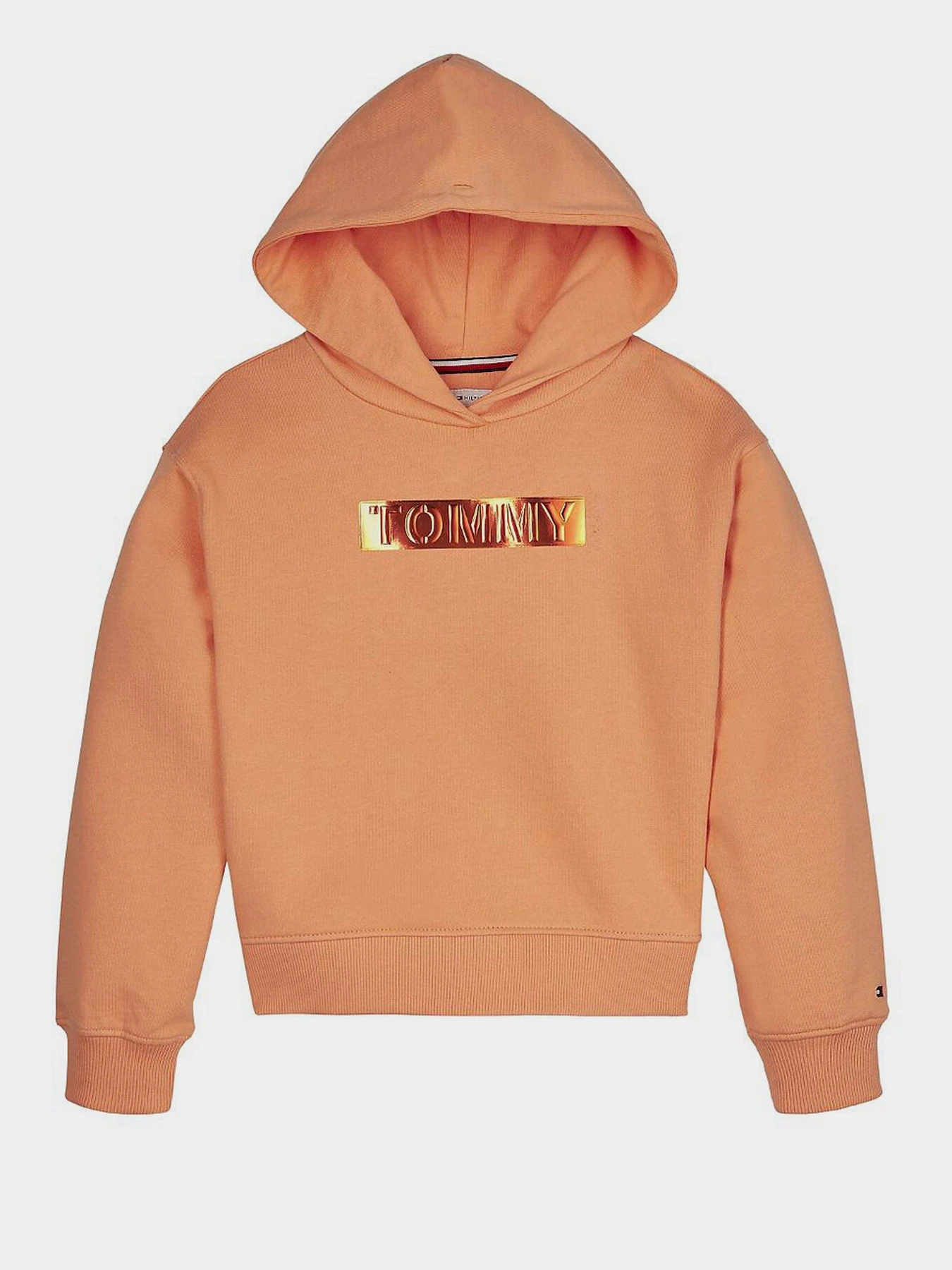 Худи и свитшоты Tommy Hilfiger модель KG0KG05044-SC1 Фото