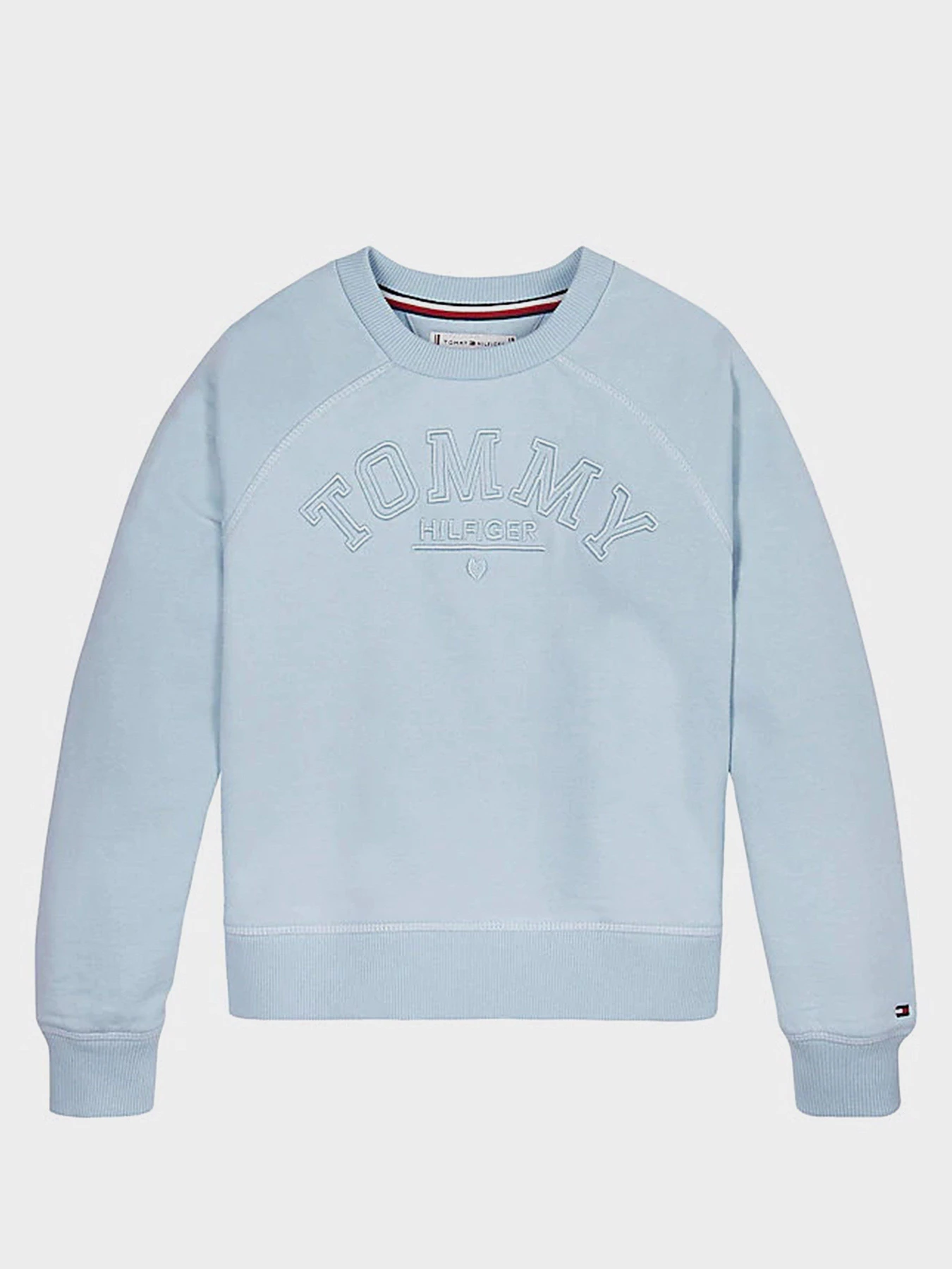 Худи и свитшоты Tommy Hilfiger модель KG0KG05167-C1S Фото
