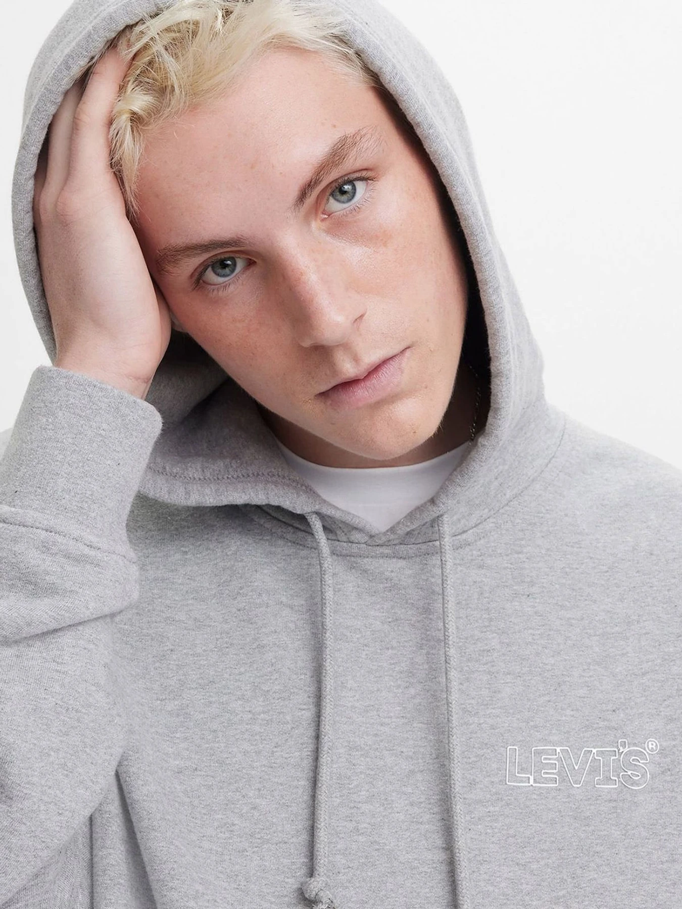 Худі та світшоти Levi's модель 38479;0308 Фото