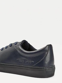 Кеды Tommy Hilfiger модель FM0FM03088-DW5 Фото