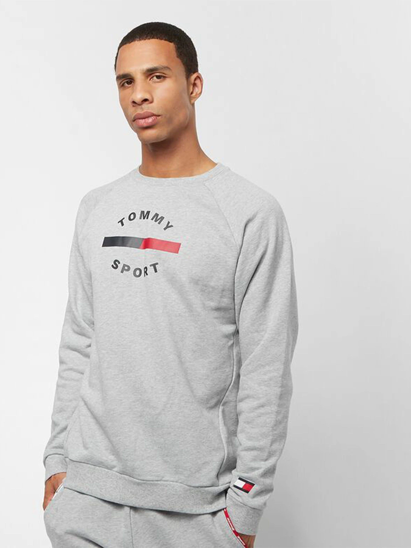 Худі та світшоти Tommy Hilfiger модель S20S200455-P6S Фото