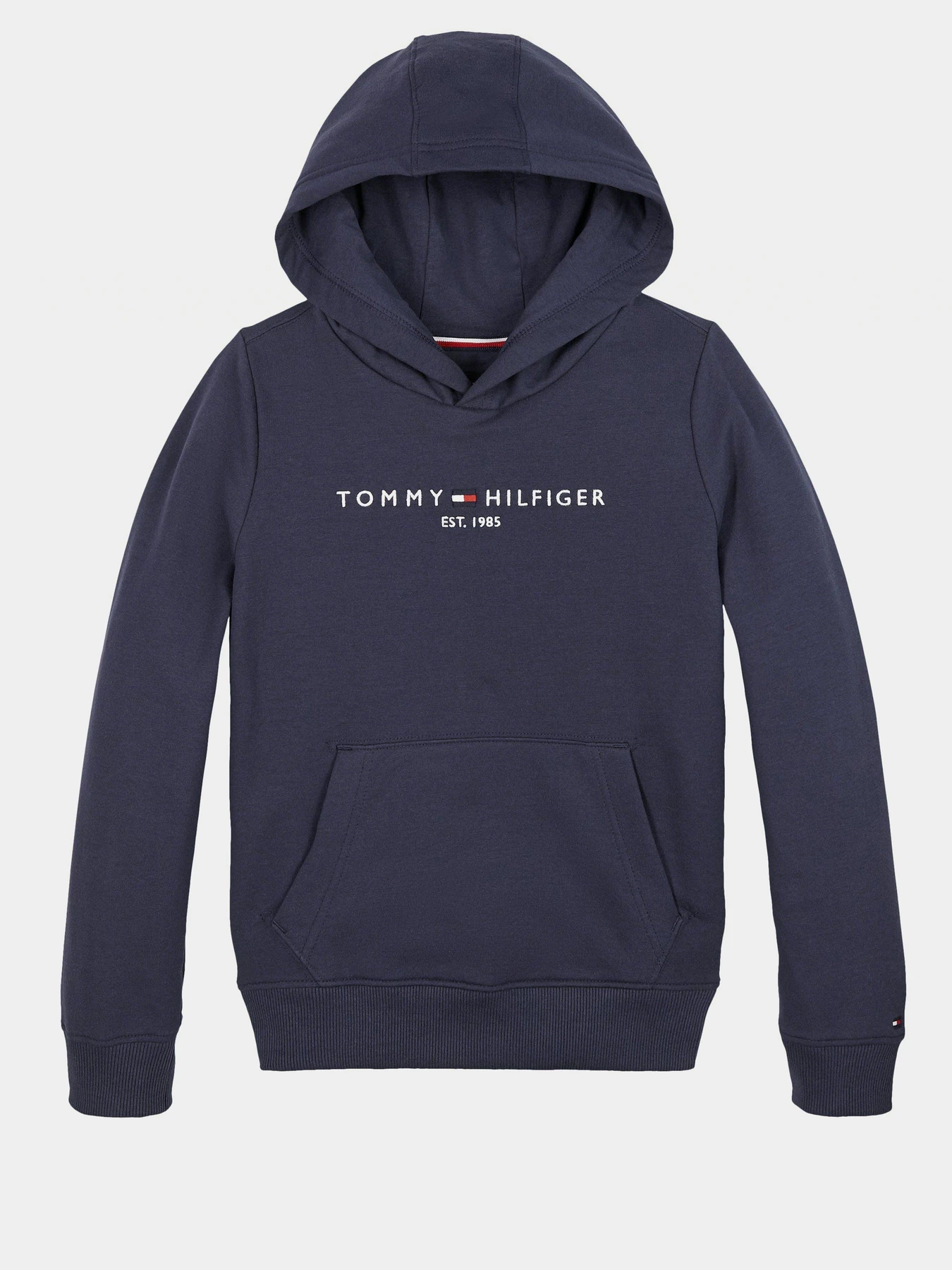 Худи и свитшоты Tommy Hilfiger модель KB0KB05796-C87 Фото