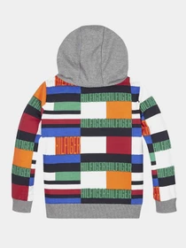 Худи и свитшоты Tommy Hilfiger модель KB0KB05802-0GY Фото