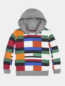 Худи и свитшоты Tommy Hilfiger модель KB0KB05802-0GY Фото