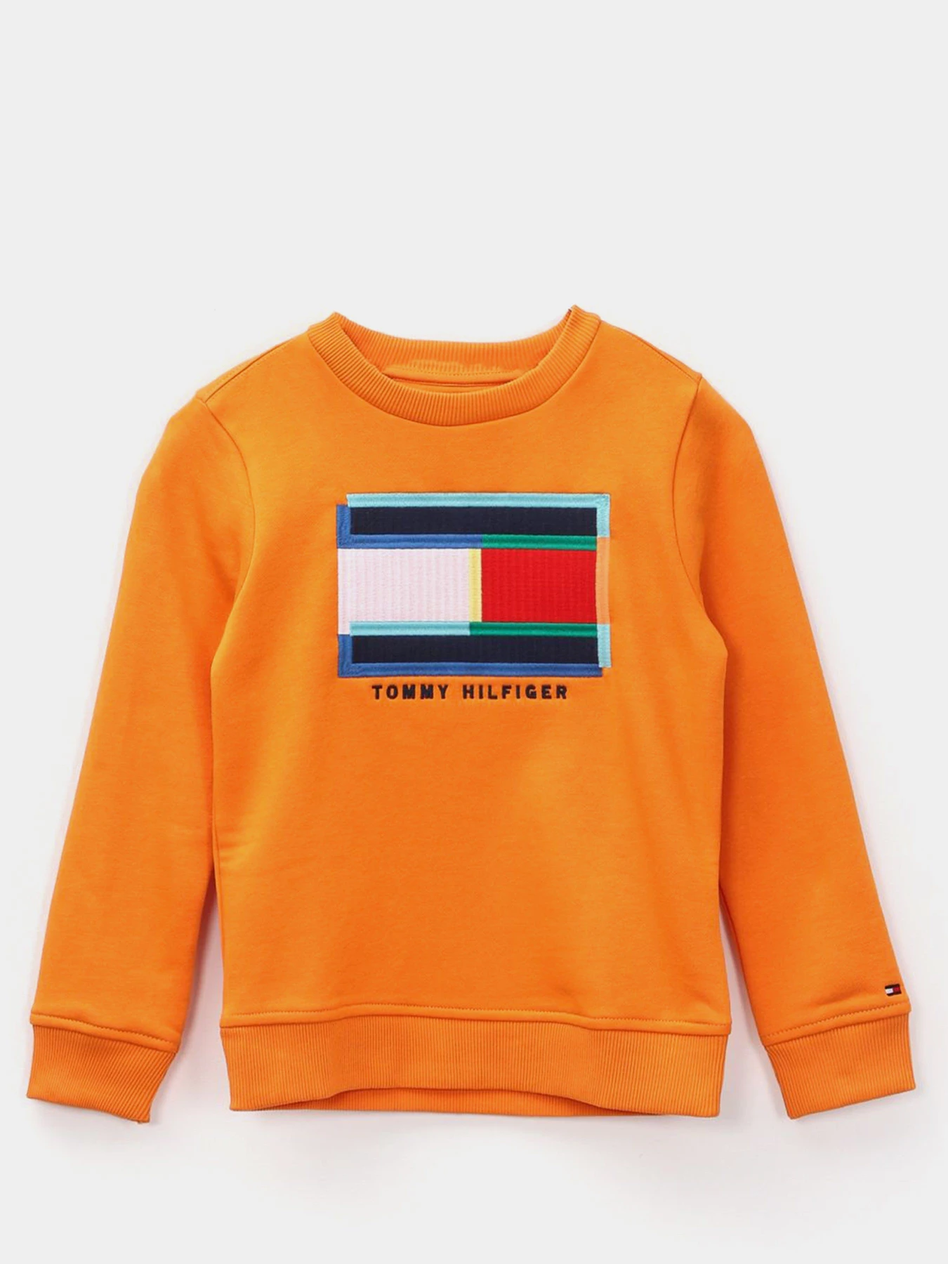 Худи и свитшоты Tommy Hilfiger модель KB0KB05803-SE7 Фото