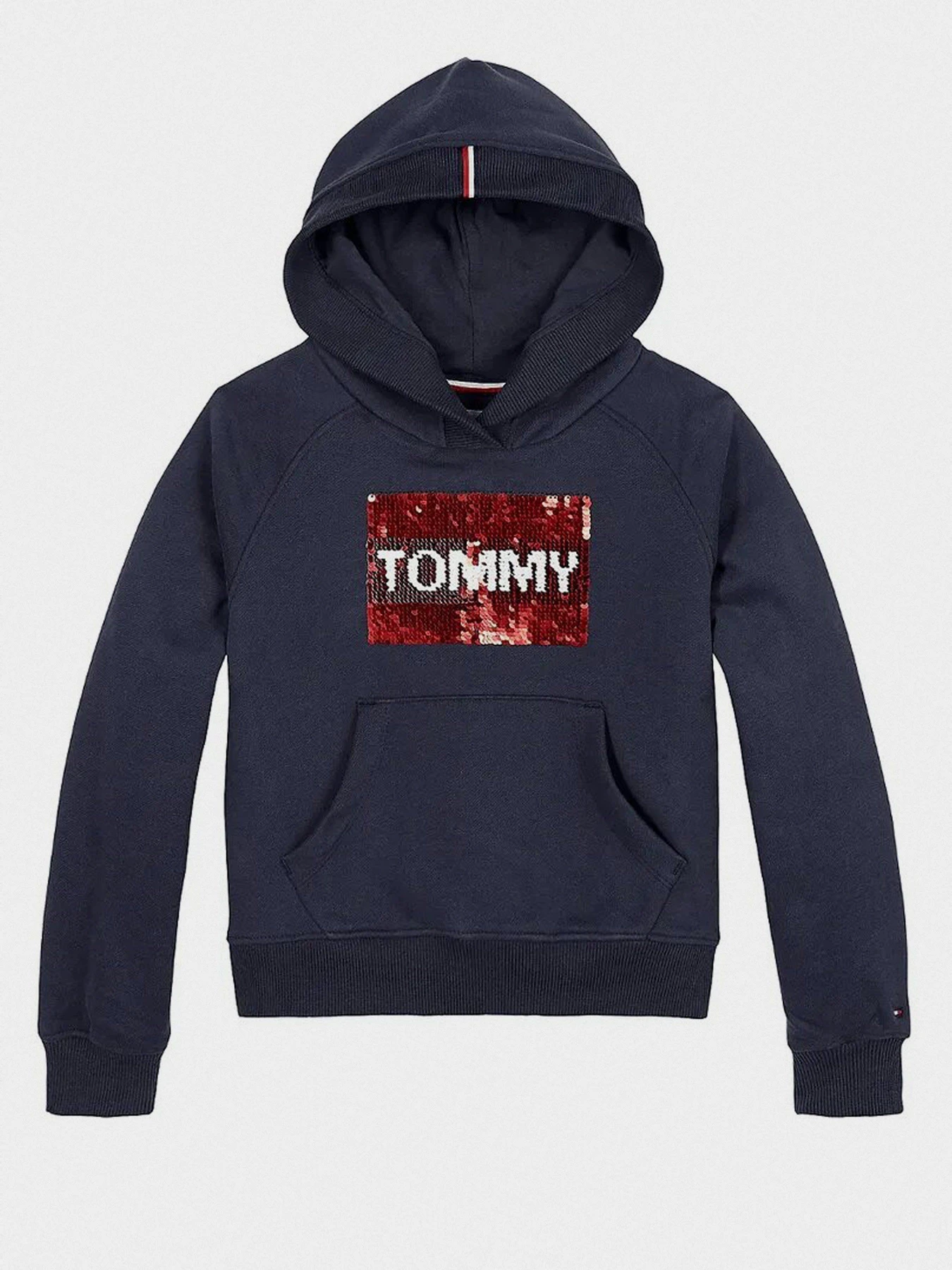 Худи и свитшоты Tommy Hilfiger модель KG0KG05219-C87 Фото