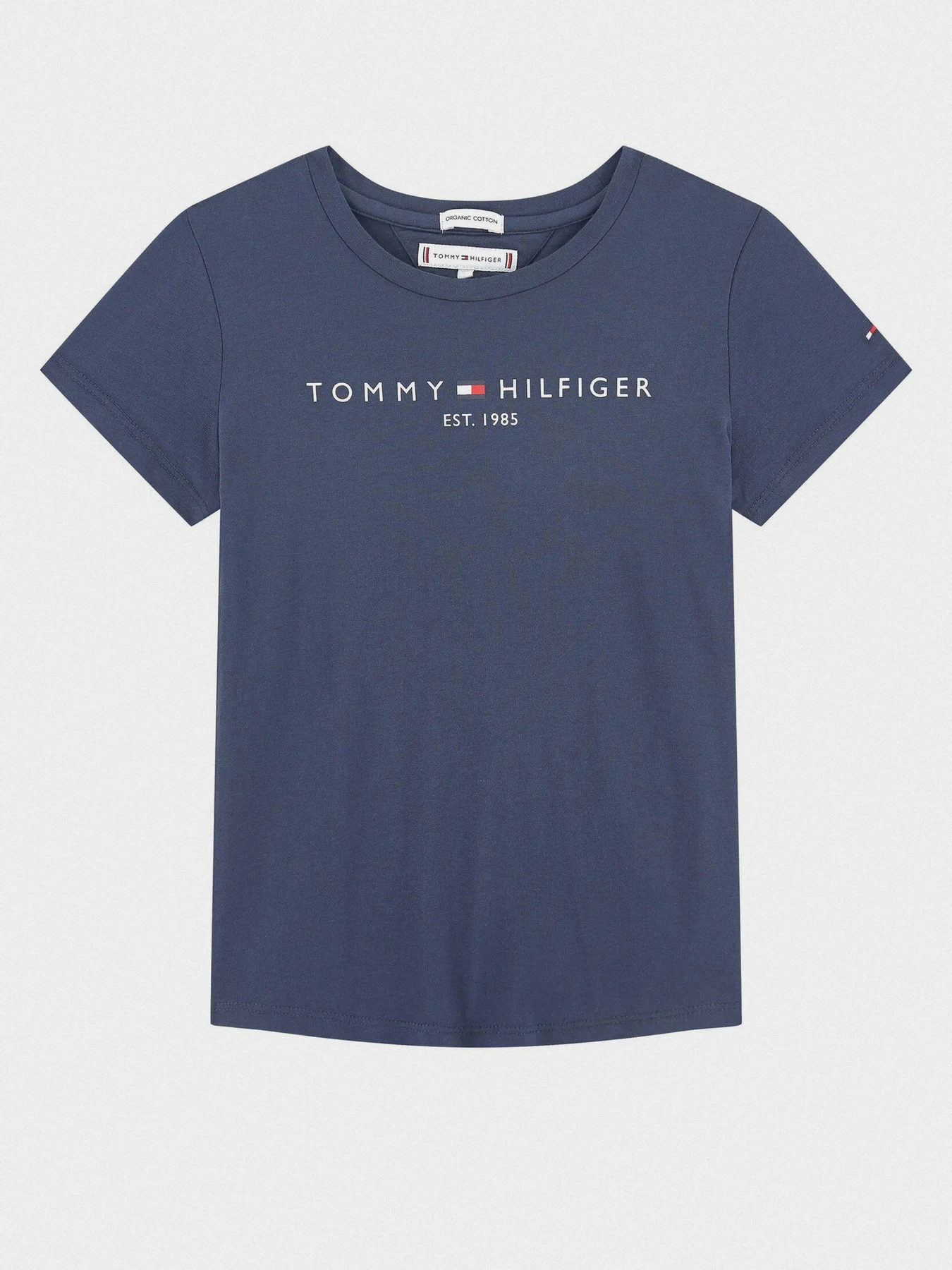 Футболки и поло Tommy Hilfiger модель KG0KG05242-C87 Фото