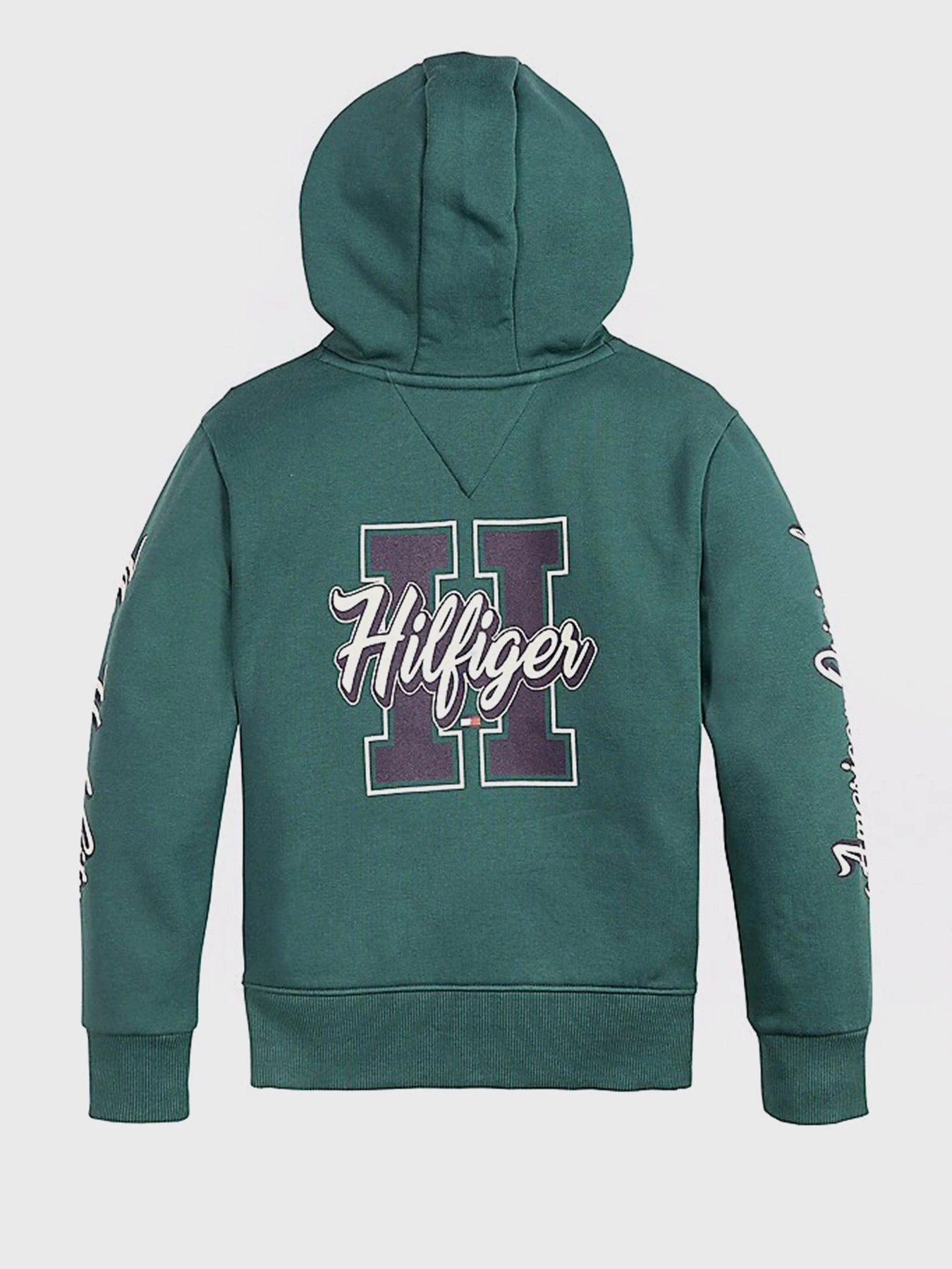 Худи и свитшоты Tommy Hilfiger модель KB0KB06146-L6N Фото