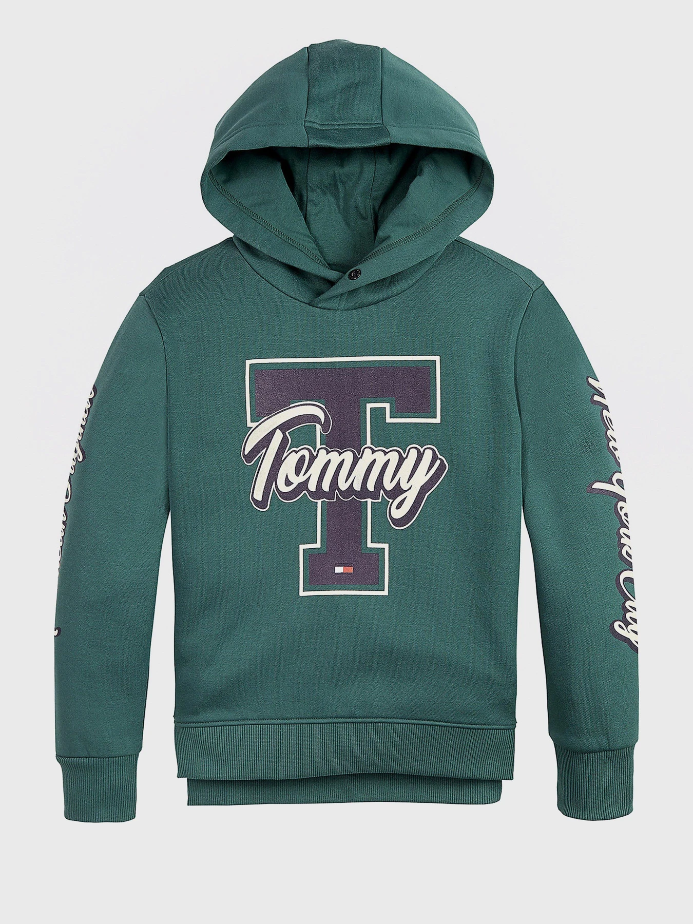 Худи и свитшоты Tommy Hilfiger модель KB0KB06146-L6N Фото