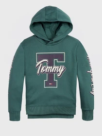 Худи и свитшоты Tommy Hilfiger модель KB0KB06146-L6N Фото