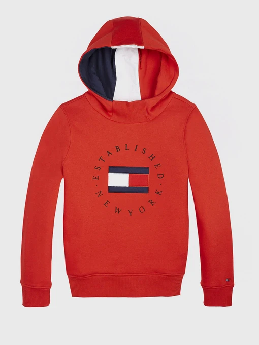 Худи и свитшоты Tommy Hilfiger модель KB0KB06153-XNL Фото