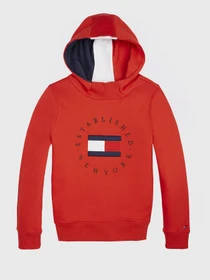 Худи и свитшоты Tommy Hilfiger модель KB0KB06153-XNL Фото