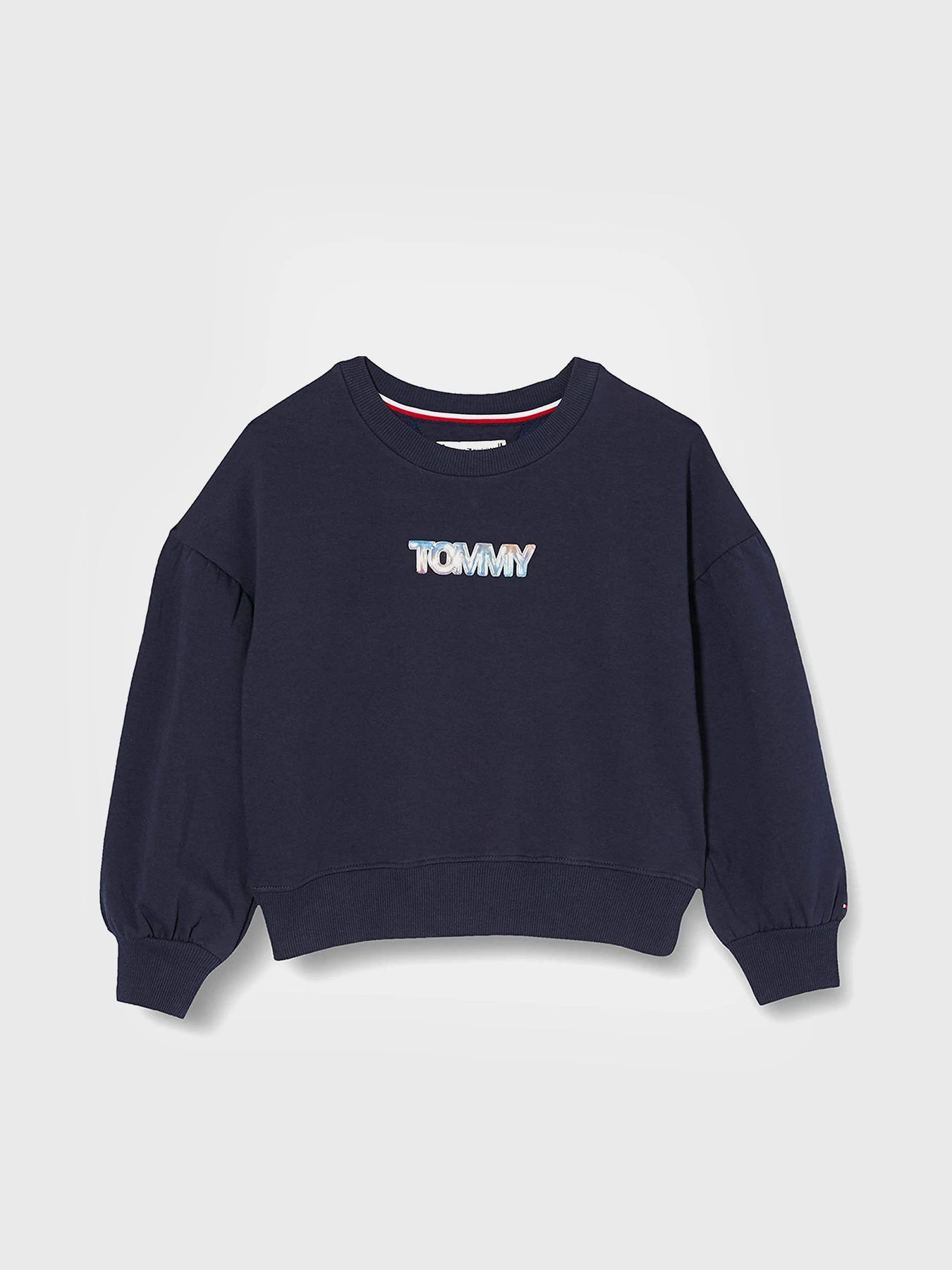Худи и свитшоты Tommy Hilfiger модель KG0KG05493-C87 Худи и свитшоты Tommy Hilfiger модель KG0KG05493-C87 Фото