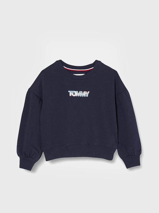 Худи и свитшоты Tommy Hilfiger модель KG0KG05493-C87 Фото