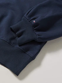 Худи и свитшоты Tommy Hilfiger модель KG0KG05493-C87 Фото