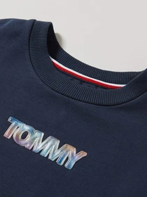 Худи и свитшоты Tommy Hilfiger модель KG0KG05493-C87 Фото