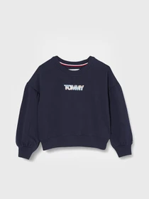 Худи и свитшоты Tommy Hilfiger модель KG0KG05493-C87 Фото