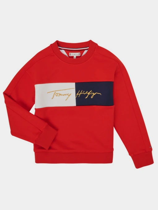 Худи и свитшоты Tommy Hilfiger модель KG0KG05497-XNL Фото