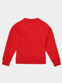 Худі та світшоти Tommy Hilfiger модель KG0KG05497-XNL Фото