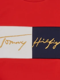 Худі та світшоти Tommy Hilfiger модель KG0KG05497-XNL Фото