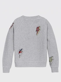 Худи и свитшоты Tommy Hilfiger модель KG0KG05498-P6U Фото